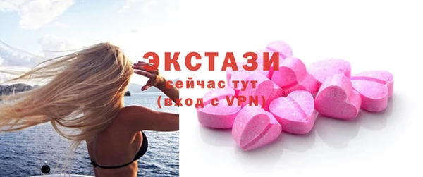 ECSTASY Лагань