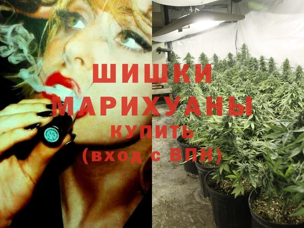 ECSTASY Лагань