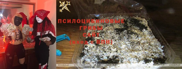 сатива Липки