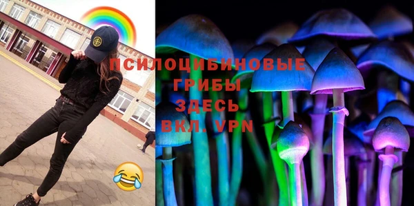 крисы Ладушкин