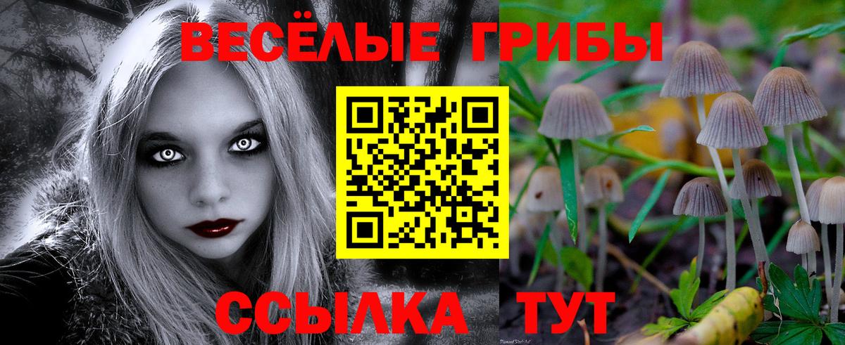 Псилоцибиновые грибы Psilocybine cubensis  Вход с VPN  Одинцово 